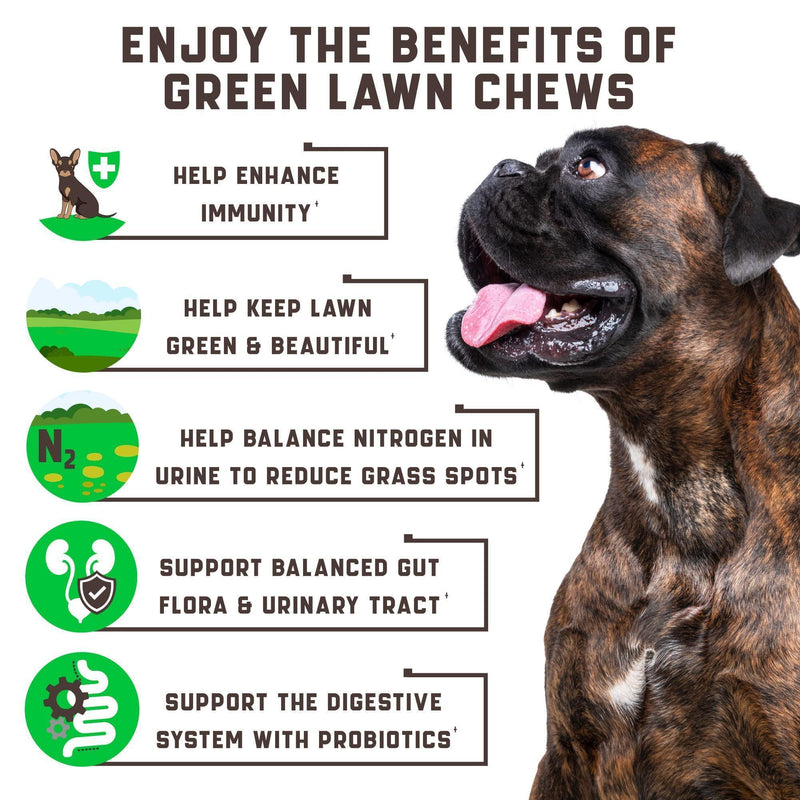 Green Lawn Chews for Dogs Cranberry ACV Digestive Enzymes Natural Dog Urine Neutralizer for Lawn Supports Healthy Bladder Urinary Tract 180 Tasty Dog Treats for Yellow Burn Grass Spots