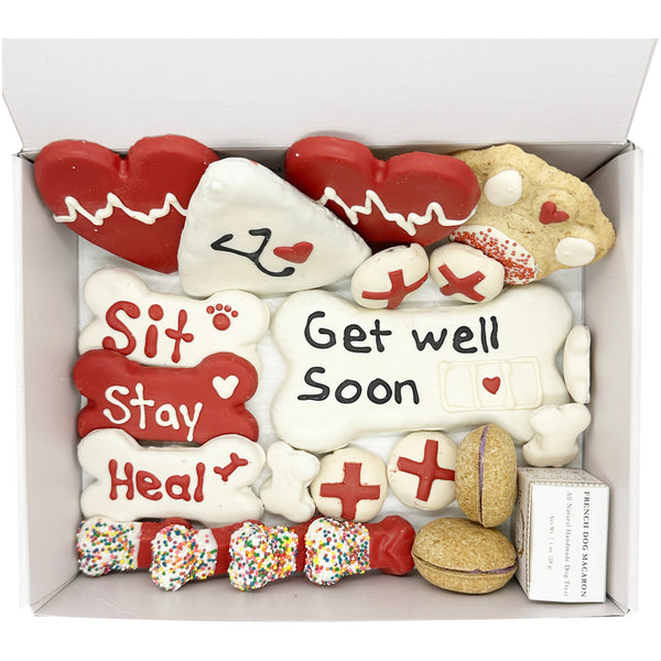 Get Well Soon Themed Dog Treats Gift Box