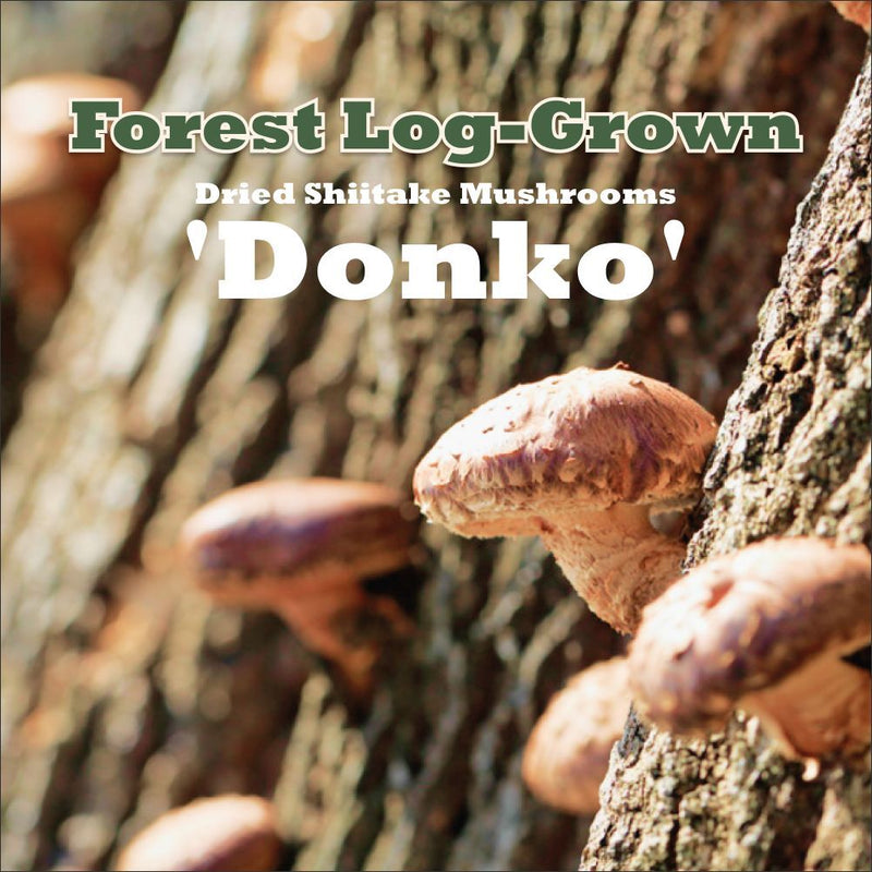 Dried Shiitake Mushrooms 'Donko' (Naturally Log-Grown, Japan) - 80g