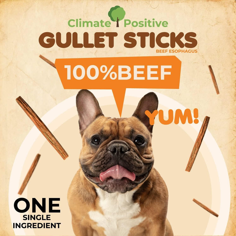 Gullet Sticks 24 Count 100% Natural Beef Esophagus Dog Chews 6" Premium Dog Treats for Training Puppies & Adults Zero Filler or Preservatives