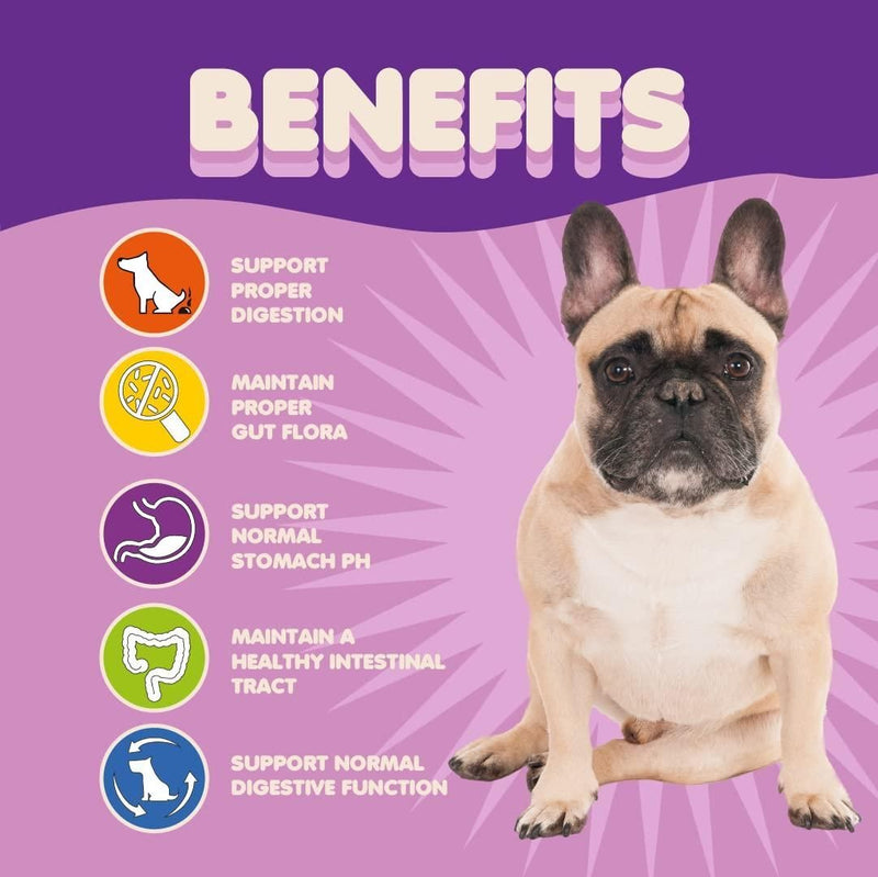 Probiotics for Dogs Puppies Extra Strength 9 Species 5 Billion CFU per Scoop of Dog Probiotics and Digestive Enzymes for Dogs Support Fiber for Dogs & Dog Allergy Relief Powder Probiotic for Dogs